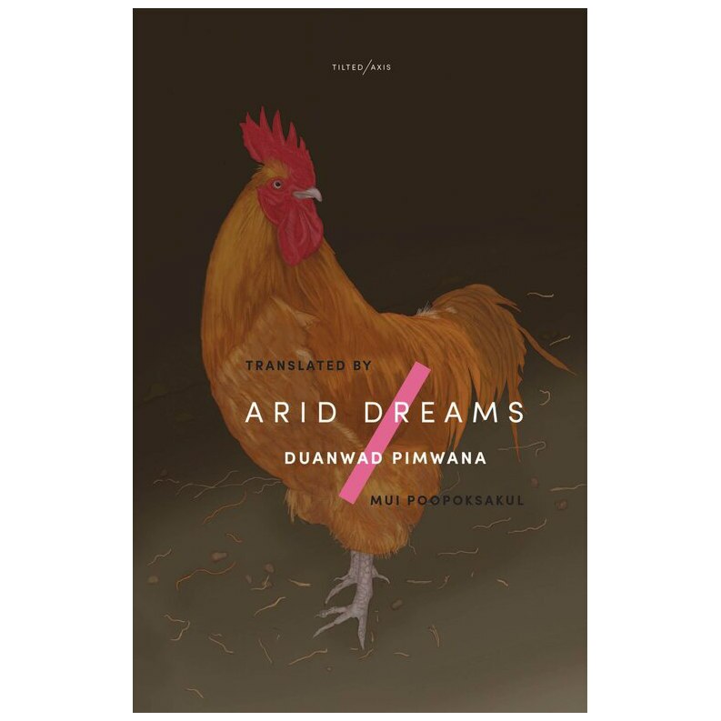 Arid Dreams - Duanwad Pimwana