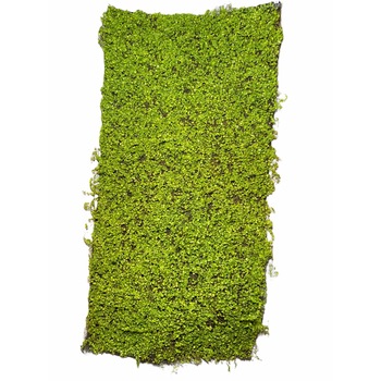Panou iarba artificiala Atelier, 100x50cm, Verde Deschis Panou iarba artificiala Atelier, 100x50cm, Verde Deschis