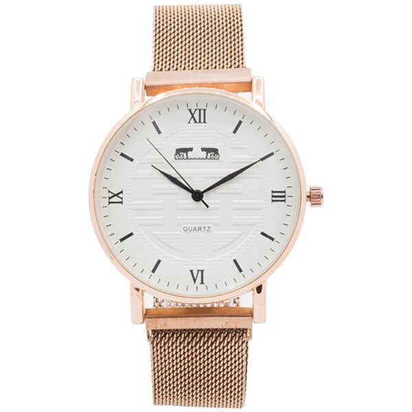 Ceas cu bratara magnetica Matteo Ferari MF175G-AA