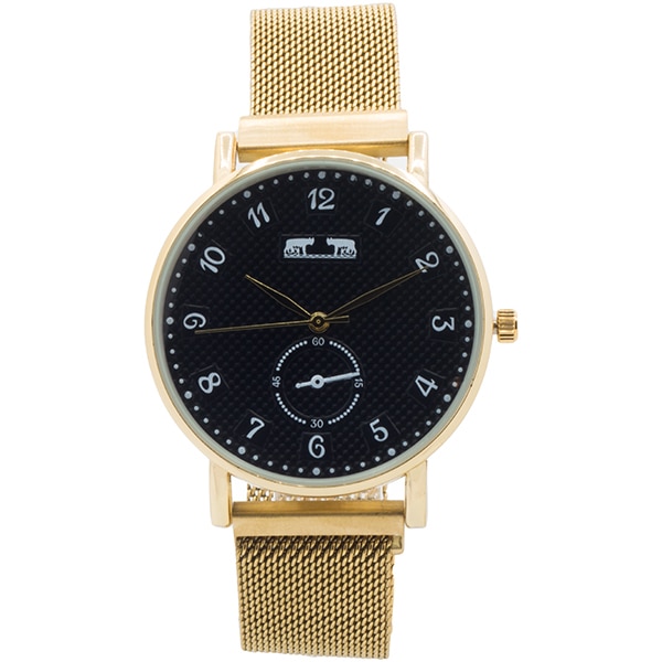 Ceas cu bratara magnetica Matteo Ferari MF174G-BG