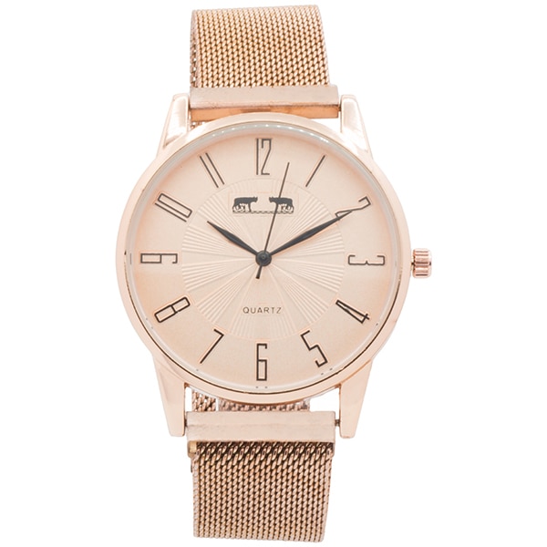 Ceas cu bratara magnetica Matteo Ferari MF172G-C