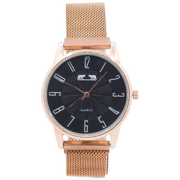 Ceas cu bratara magnetica Matteo Ferari MF172G-BA