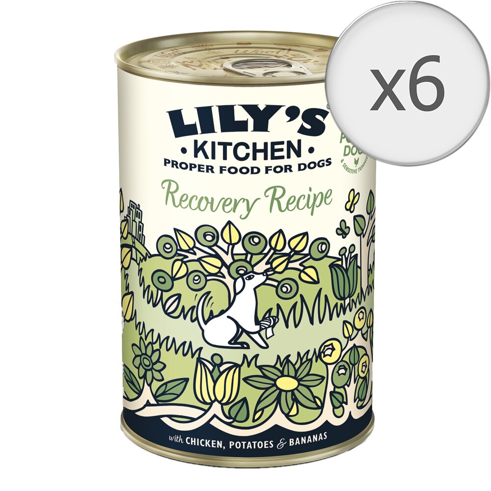 Hrana umeda pentru caini Lily's Kitchen Recovery Recipe With Chicken, Potatoes & Bananas, 6 x 400g