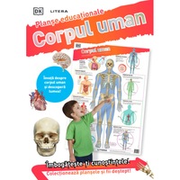 CORPUL UMAN (planse educationale infoliate)