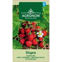 capsuni rugen agronom soi timpuriu seminte plic 01 grame imagen 3_0_
0
