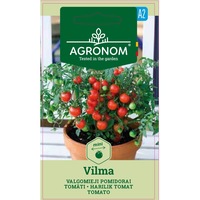 rosii pentru balcon vilma agronom soi semi timpuriu seminte plic 01 grame imagen 8_0_
0