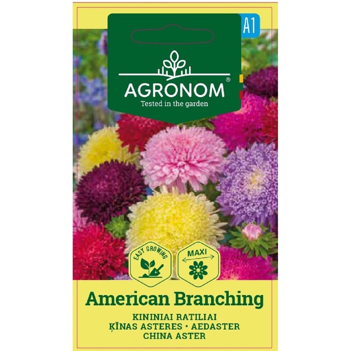 Aster China American Branching, Agronom, Seminte, plic, 0.4 grame