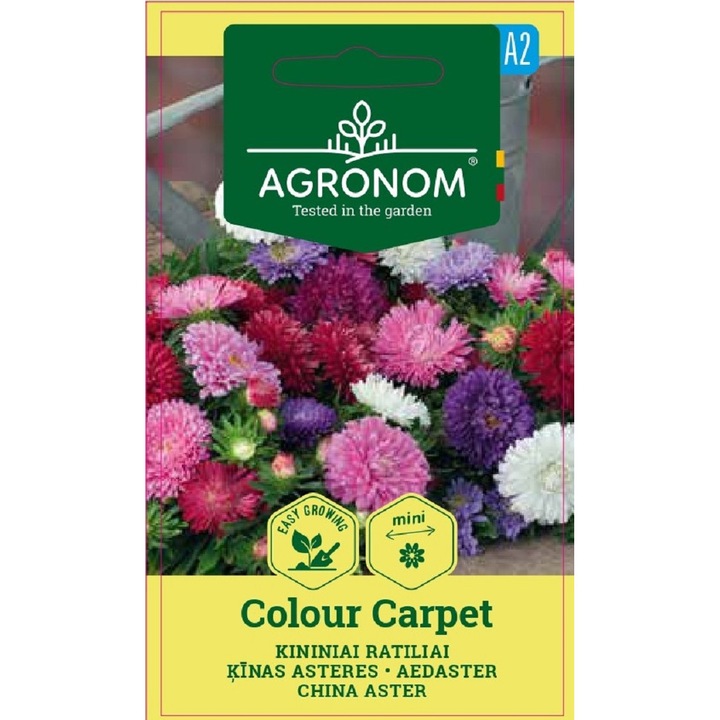 Aster China Colour Carpet Mix, Agronom, Seminte, plic, 0.4 grame