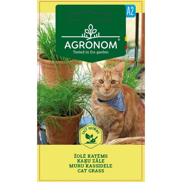 Iarba pentru pisici Cat Grass, Agronom, Seminte, plic, 4 grame