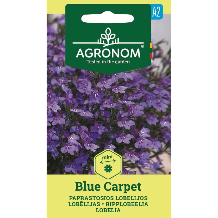 Lobelia Blue Carpet, Agronom, Seminte, plic, 0.1 grame