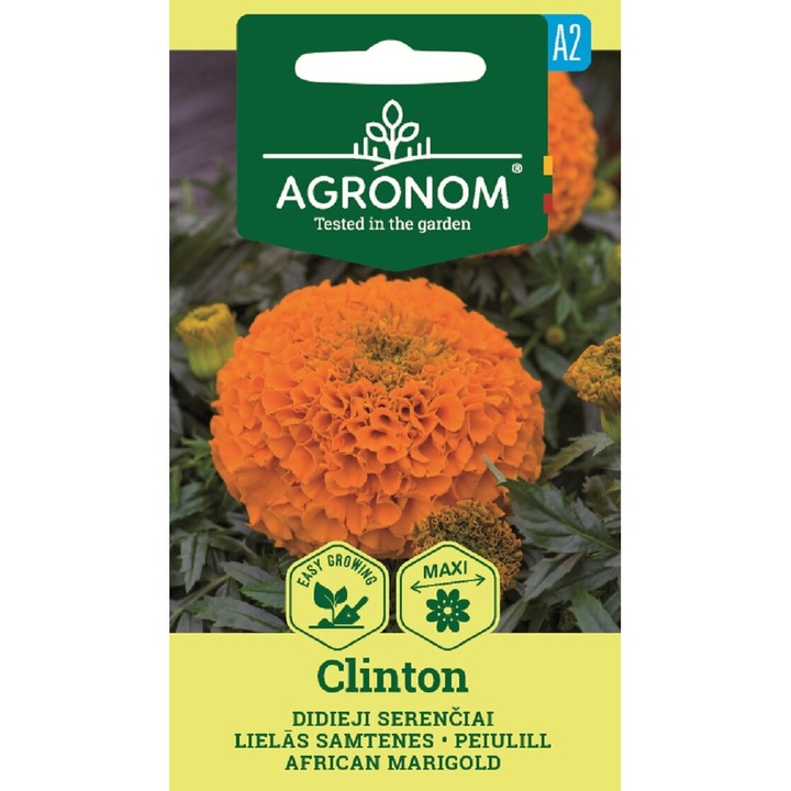 Craite Marigold African Clinton, Agronom, Seminte, plic, 0.5 grame