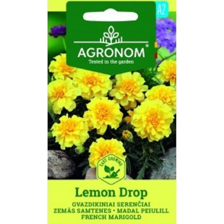 Craite Marigold French Lemon Drop, Agronom, Seminte, plic, 0.4 grame