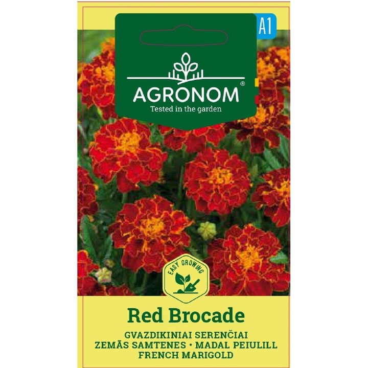Craite Marigold French Red Brocade, Agronom, Seminte, plic, 0.4 grame