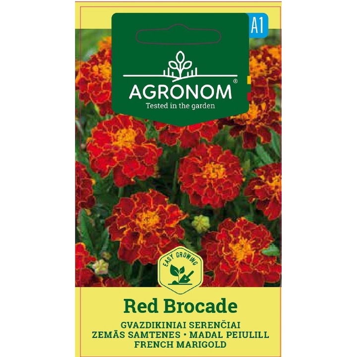 Craite Marigold French Red Brocade, Agronom, Seminte, plic, 0.4 grame