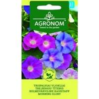 zorele morning glory agronom seminte plic 1 gram imagen 29_0_
0