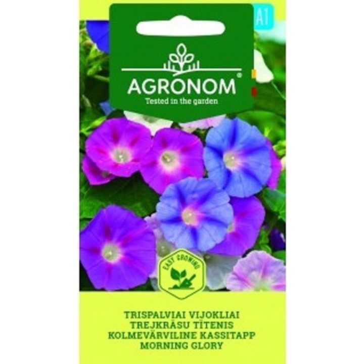 Zorele Morning Glory, Agronom, Seminte, plic, 1 gram