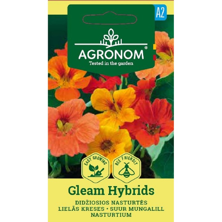 Condurul Doamnei Nasturtium Gleam Hybrids, Agronom, Seminte, plic, 2 grame