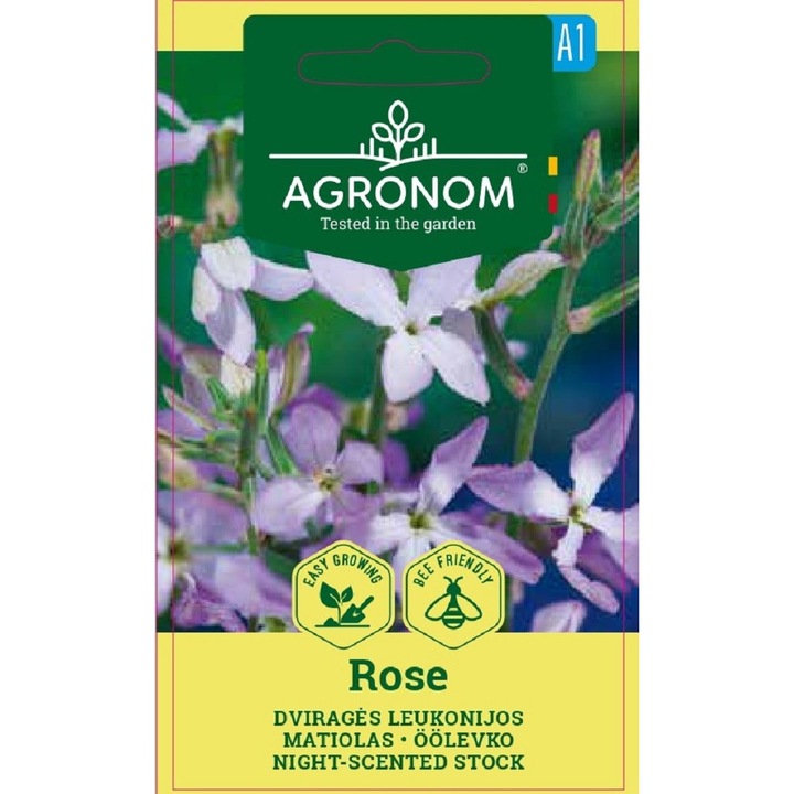 Mixandre Matthiola Bicornis Night Scented Rose, Agronom, Seminte, plic, 1 grame