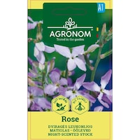 mixandre matthiola bicornis night scented rose agronom seminte plic 1 grame imagen 25_0_
0