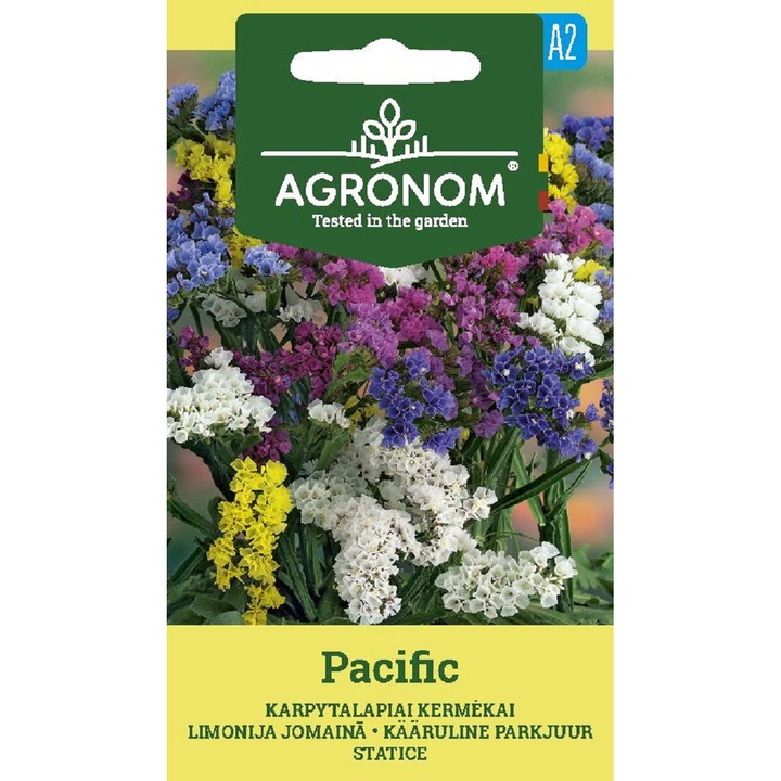 Limonium Static Pacific, Agronom, Magok, boríték, 0,2 gramm