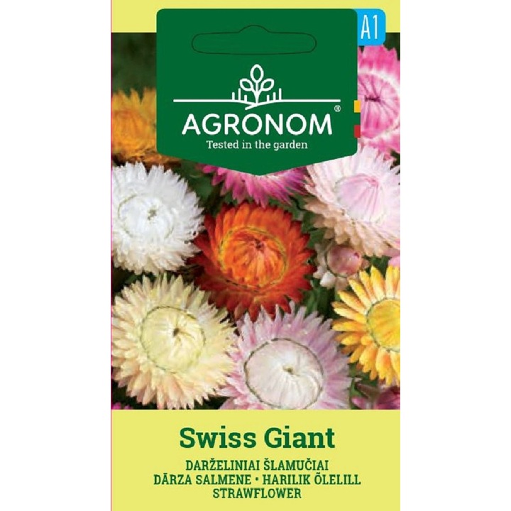 Imortele Strawflower Swiss Giant, Agronom, Seminte, plic, 0.5 grame