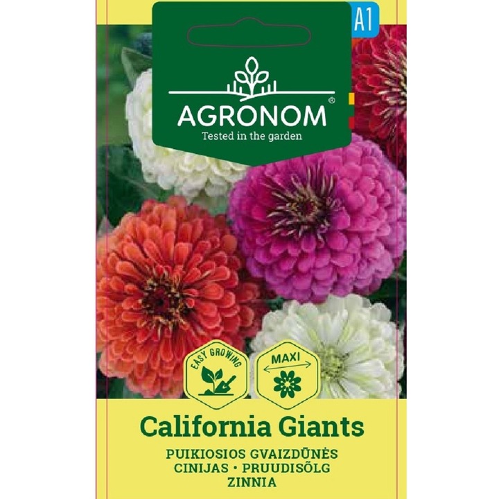 Carciumarese Zinnia California Giants, Agronom, Seminte, plic, 0.5 grame