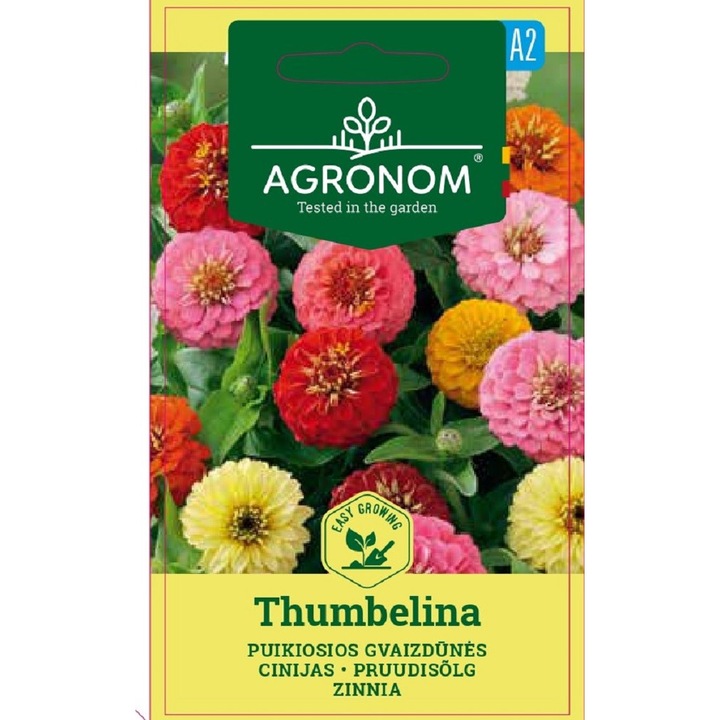 Carciumarese Zinnia Thumbelina, Agronom, Seminte, plic, 0.5 grame