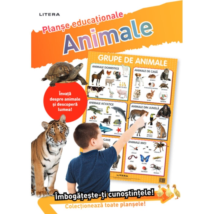 ANIMALE (planse educationale infoliate)