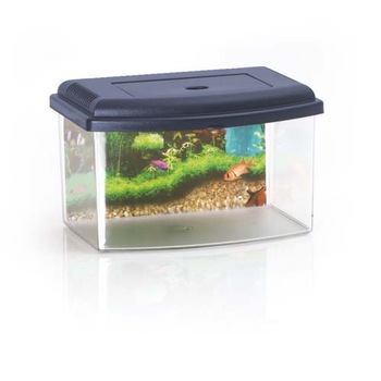 Acvariu cu capac, Cobbys Pet Aquarium 1, Plastic, Fundal inclus, 22 x 16 x 14 cm, 3L Acvariu cu capac, Cobbys Pet Aquarium 1, Plastic, Fundal inclus, 22 x 16 x 14 cm, 3L