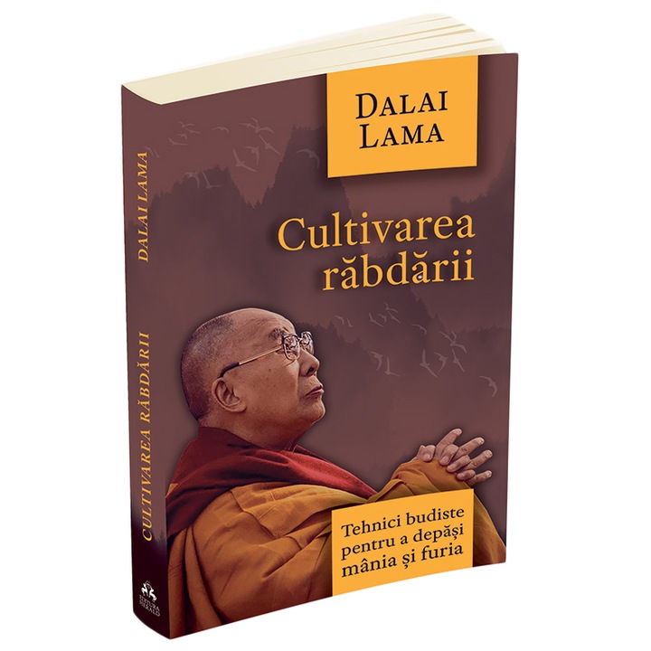 Cultivarea rabdarii. Tehnici budiste pentru a depasi mania si furia, Dalai Lama