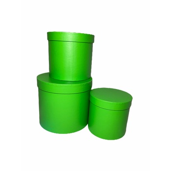 Set 3 cutii decorative cu capac pentru aranjamente si cadouri Atelier, 22.5x19.5/18.5x17/16x15 cm, forma rotunda Carton, Verde Deschis Set 3 cutii decorative cu capac pentru aranjamente si cadouri Atelier, 22.5x19.5/18.5x17/16x15 cm, forma rotunda Carton, Verde Deschis