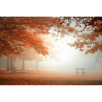 Fototapet peisagistic Wizard Genius 5438-8 dimensiune 384cm (L) x 260cm (I) maro Fototapet peisagistic Wizard Genius 5438-8 dimensiune 384cm (L) x 260cm (I) maro