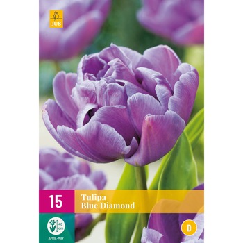 Lalele Blue Diamond, Holland, Bulbi,15 buc Lalele Blue Diamond, Holland, Bulbi,15 buc