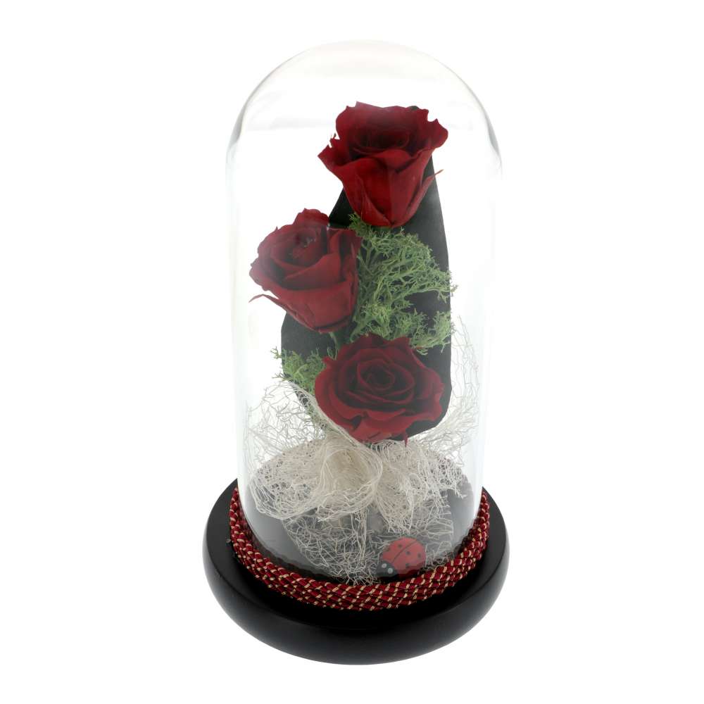 Buchet 3 Trandafiri Criogenati Rosii in Cupola