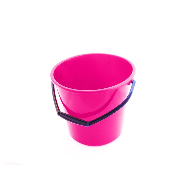 Galeata gradata, Jotta, 10L, Roz, Simi