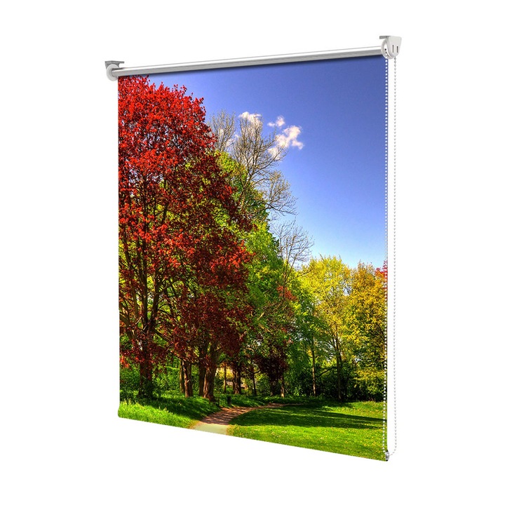 Rolete Art Shade Multicolore tip Jaluzele cu Rulou si sistem inclus Toamna Umbra copacului rosu, Decoratiuni, Latime 140 cm x Inaltime 130 cm
