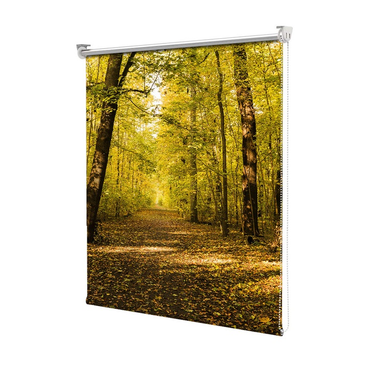 Rolete Art Shade tip Jaluzele cu Rulou si sistem inclus, Peisaj de Toamna cu Frunze de toamna pe drum, Decoratiuni, Latime 80 cm x Inaltime 130 cm