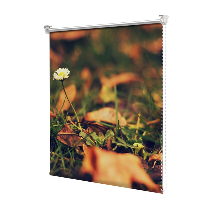 Rolete Art Shade Multicolore tip Jaluzele cu Rulou si sistem inclus Toamna Ultima floare alba, Decoratiuni, Latime 180 cm x Inaltime 250 cm