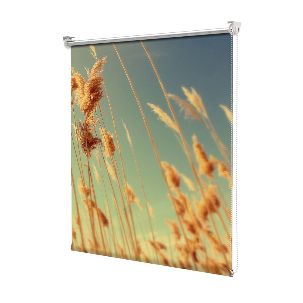 Rolete Art Shade tip Jaluzele cu Rulou si sistem inclus, Peisaj de Toamna cu Prin iarba inalta, Decoratiuni, Latime 50 cm x Inaltime 130 cm