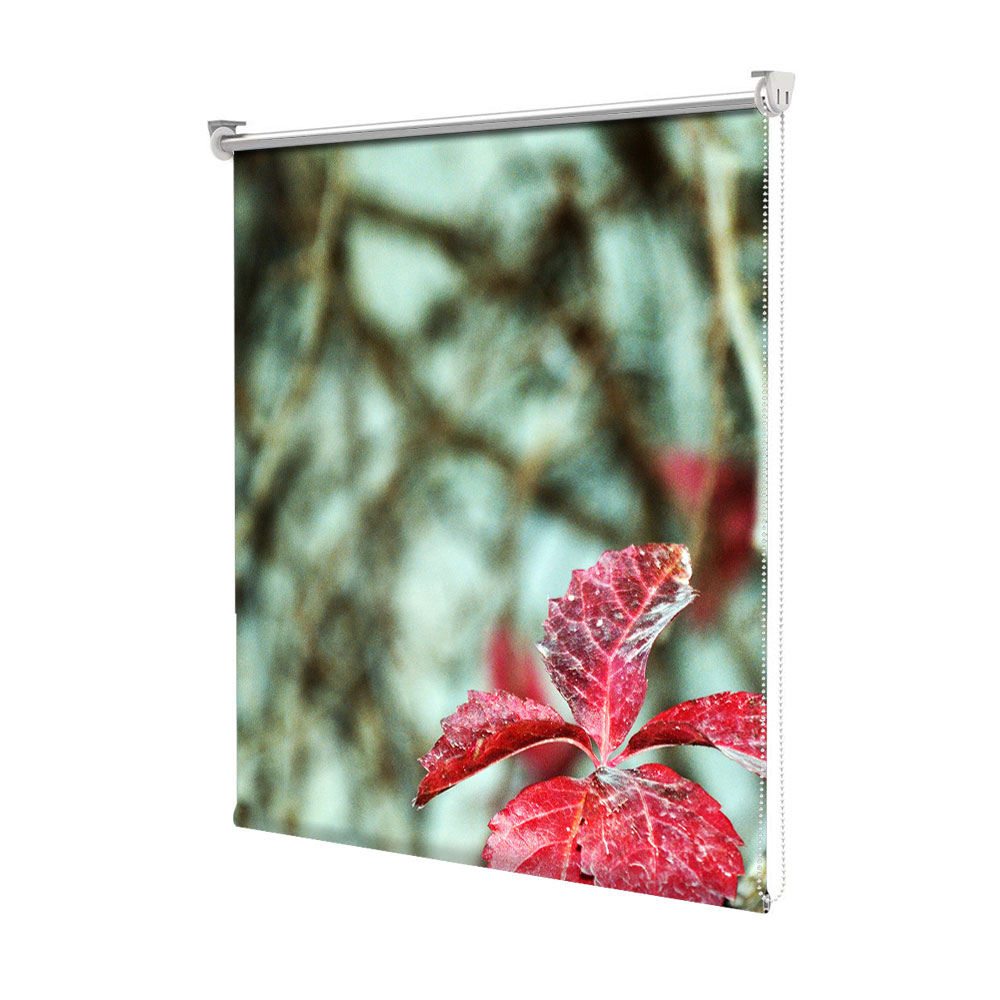 Rolete Art Shade tip Jaluzele cu Rulou si sistem inclus, Peisaj de Toamna cu Doua plante rosii, Decoratiuni, Latime 55 cm x Inaltime 130 cm