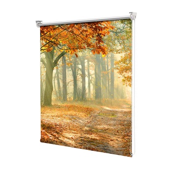 Rolete Art Shade tip Jaluzele cu Rulou si sistem inclus, Peisaj de Toamna cu Perdea de raze calde, Decoratiuni, Latime 45 cm x Inaltime 130 cm Rolete Art Shade tip Jaluzele cu Rulou si sistem inclus, Peisaj de Toamna cu Perdea de raze calde, Decoratiuni, Latime 45 cm x Inaltime 130 cm