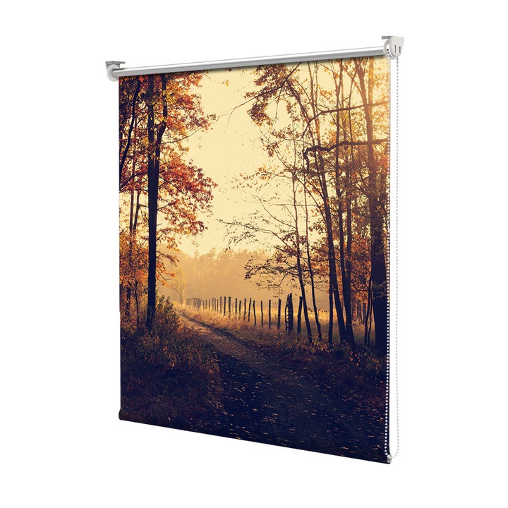 Rolete Art Shade Multicolore tip Jaluzele cu Rulou si sistem inclus Toamna Umbra in padure, Decoratiuni, Latime 180 cm x Inaltime 250 cm