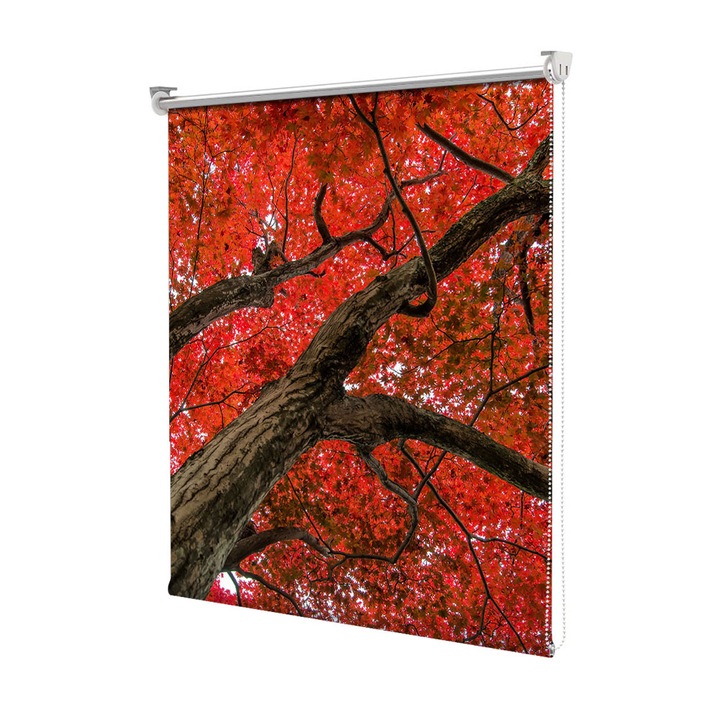 Rolete Art Shade Multicolore tip Jaluzele cu Rulou si sistem inclus Toamna Coroana impunatoare cu frunze rosii, Decoratiuni, Latime 180 cm x Inaltime 250 cm