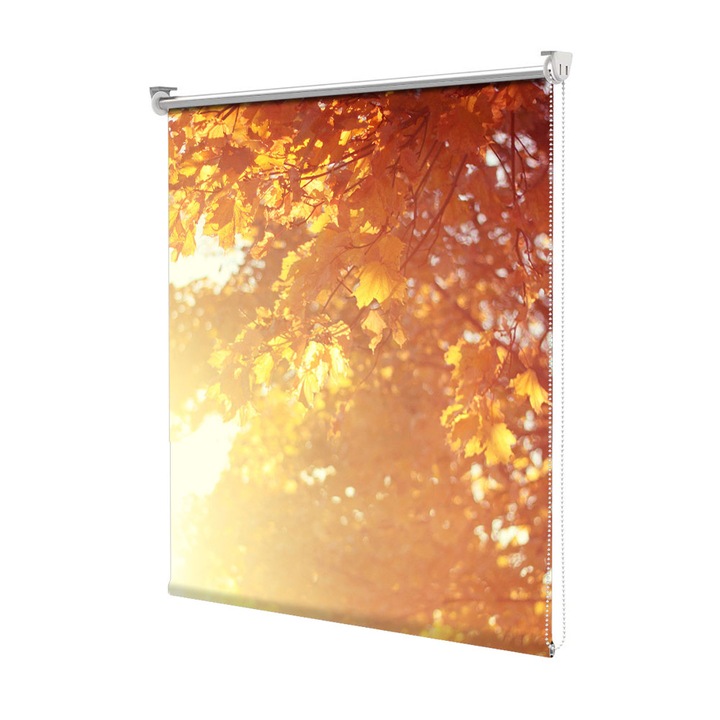 Rolete Art Shade Multicolore tip Jaluzele cu Rulou si sistem inclus Toamna Lumina orbitoare, Decoratiuni, Latime 180 cm x Inaltime 250 cm
