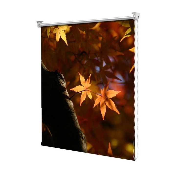Rolete Art Shade Multicolore tip Jaluzele cu Rulou si sistem inclus Toamna Frunze la soare, Decoratiuni, Latime 180 cm x Inaltime 250 cm