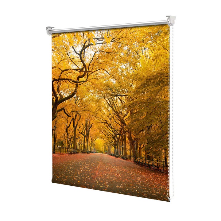 Rolete Art Shade tip Jaluzele cu Rulou si sistem inclus, Peisaj de Toamna cu Parcul aproape pustiu, Decoratiuni, Latime 45 cm x Inaltime 130 cm