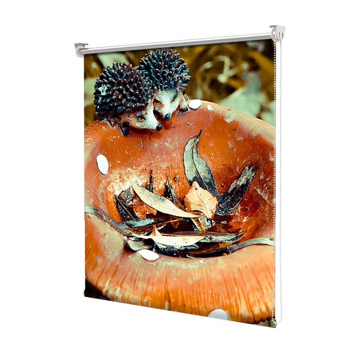 Rolete Art Shade Multicolore tip Jaluzele cu Rulou si sistem inclus Toamna Arici pe ciuperca, Decoratiuni, Latime 180 cm x Inaltime 250 cm