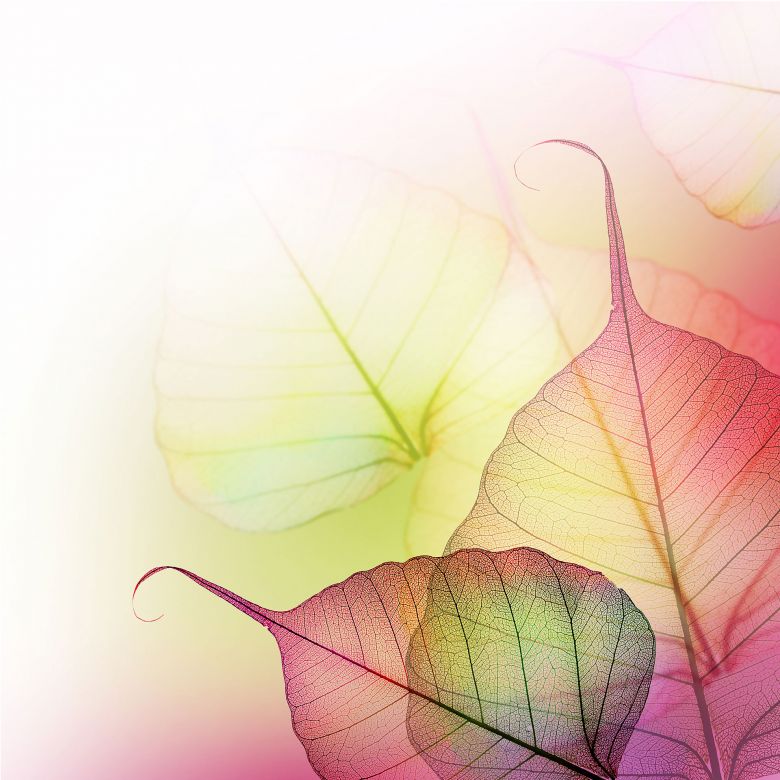 Fototapet tematic Wizard Genius P1190 dimensiune 240cm (L) x 260cm (I) verde cu roz