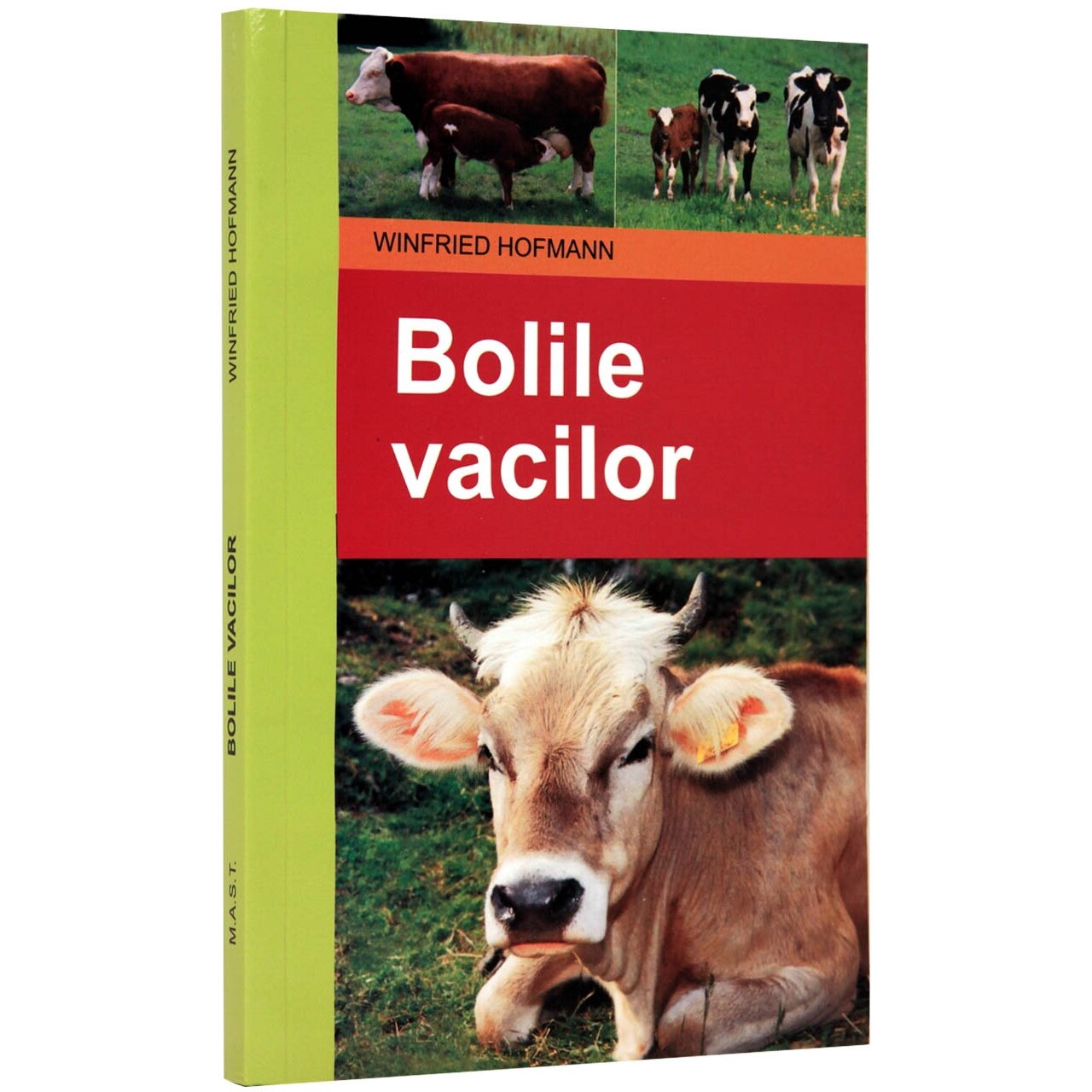 Bolile vacilor
