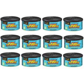 Set 12 bucati Odorizant auto California Scents Laguna Breeze Set 12 bucati Odorizant auto California Scents Laguna Breeze